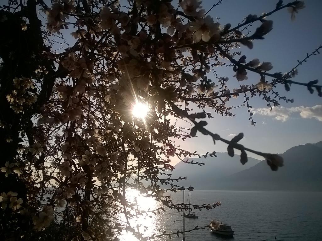 B&B Casa Sartori Malcesine Exteriér fotografie