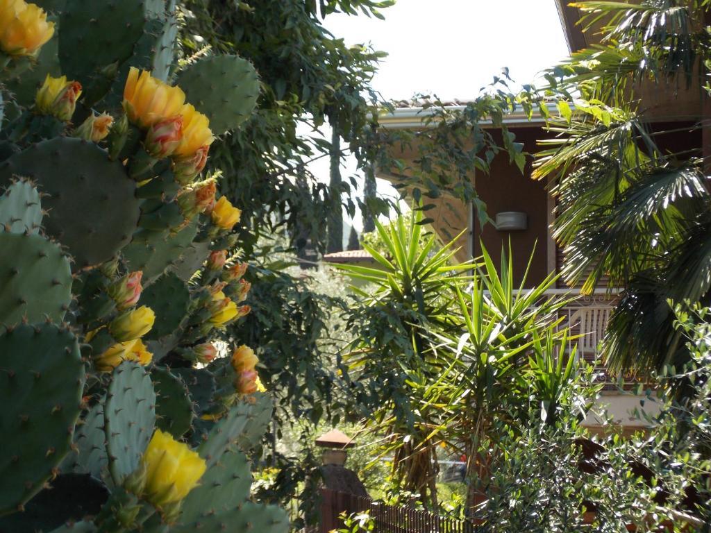 B&B Casa Sartori Malcesine Exteriér fotografie